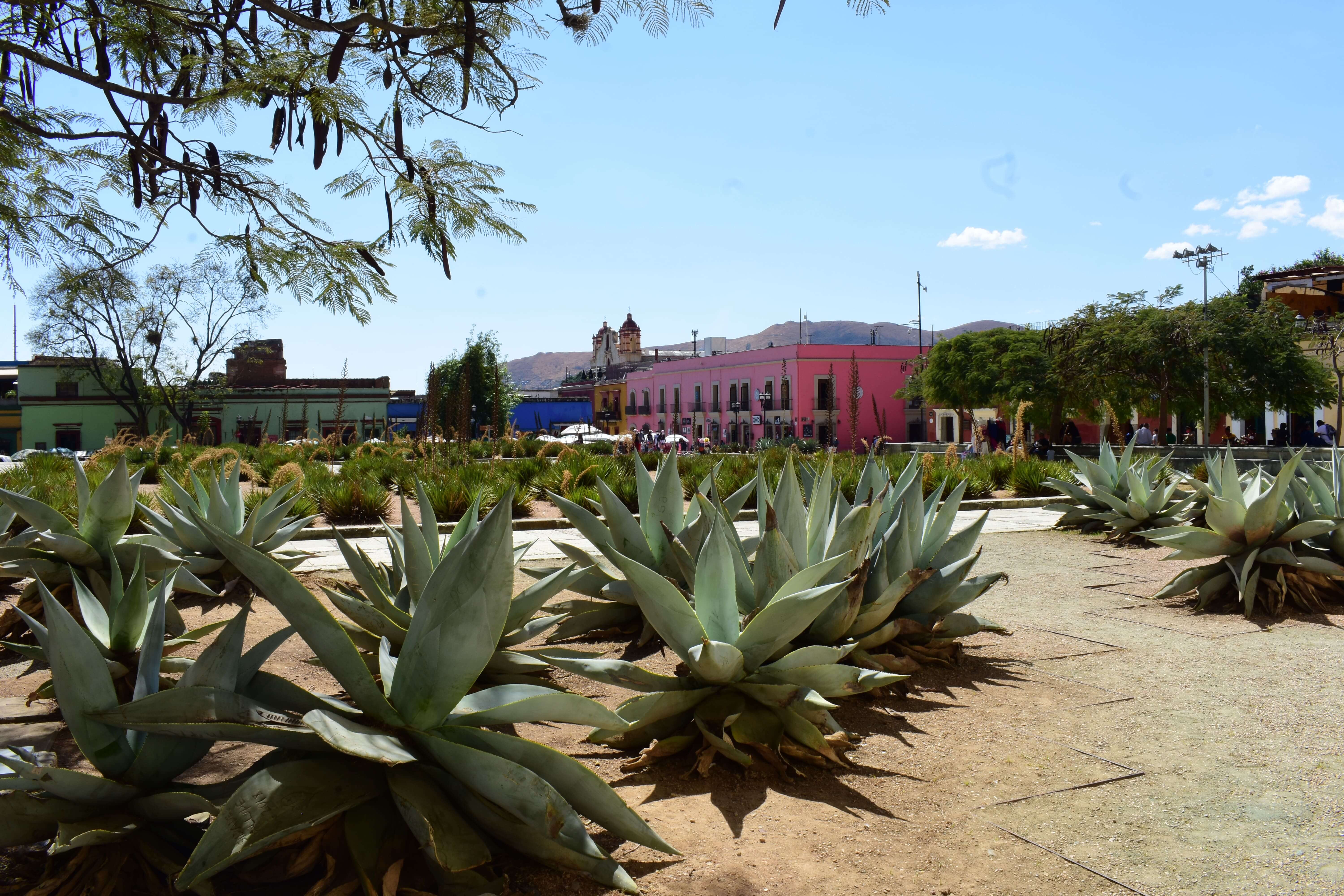 Oaxaca Es La Mejor Ciudad Del Mundo Seg N World S Best Awards