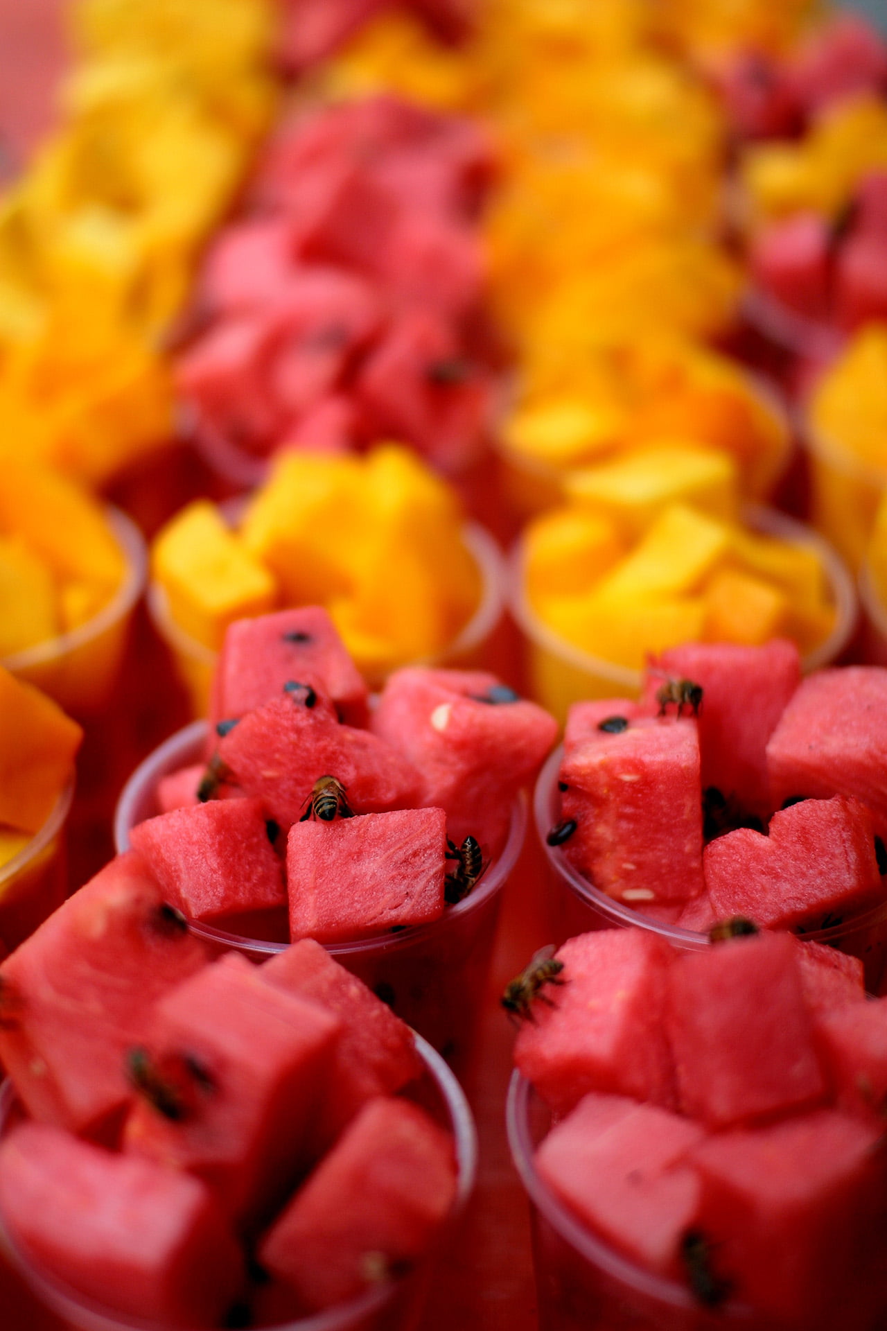 1370145840_a90a965239_o