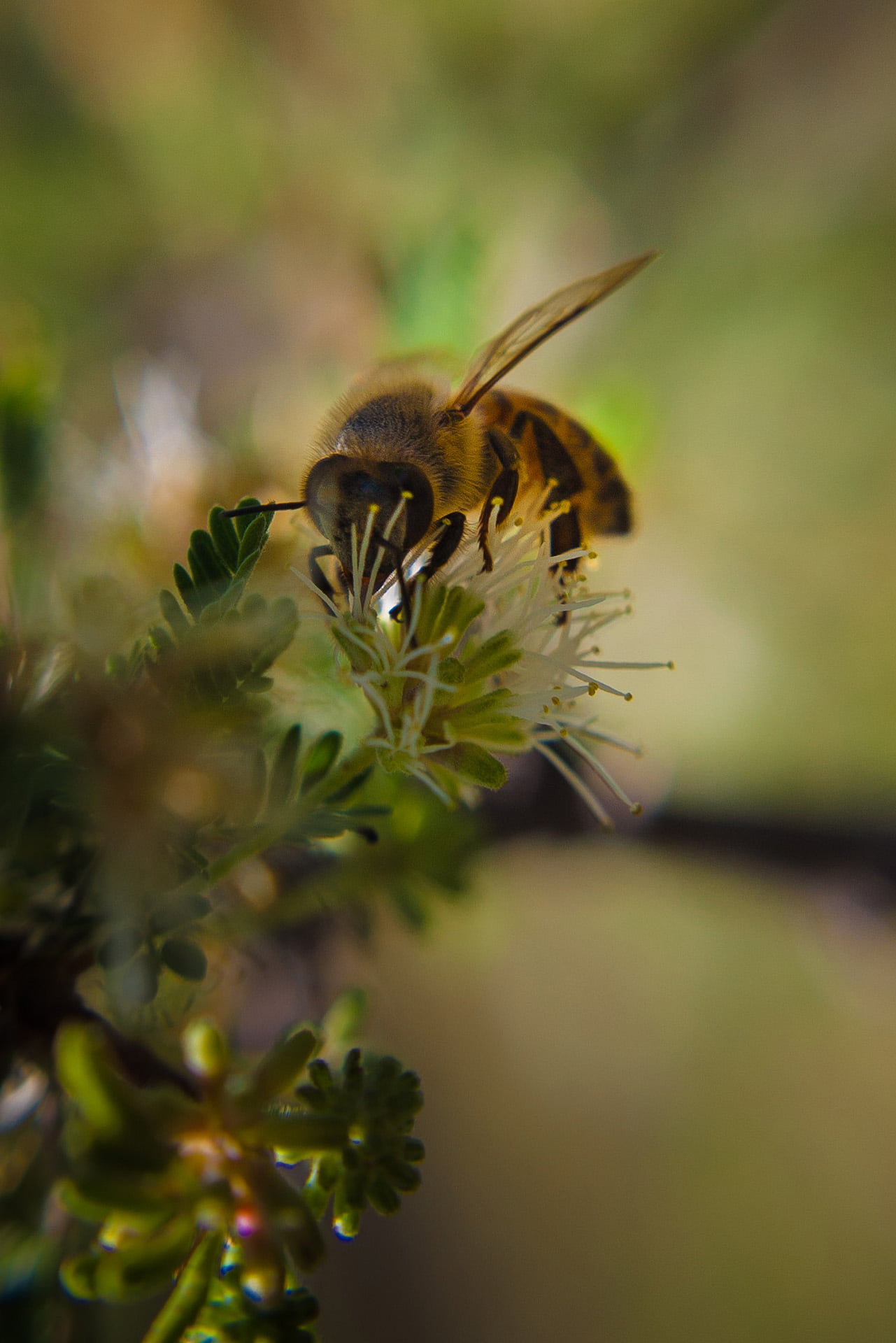 9124607335_76b99e3b26_o