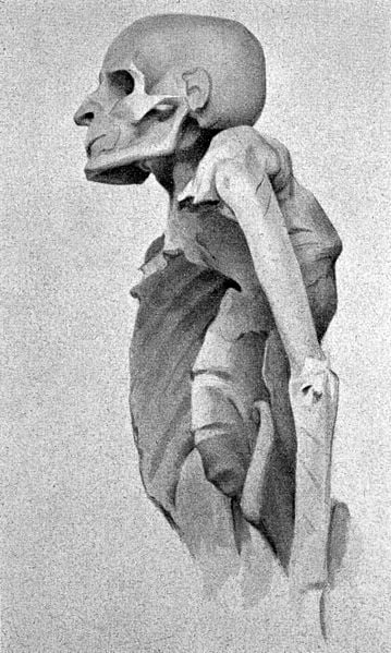 Momia, Sacerdote de Amon (Wikipedia)