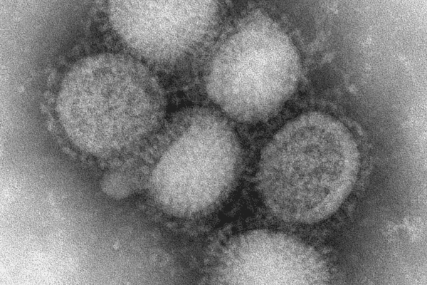 Una mirada al pasado: la epidemia de Gripe Española de 1918-1919