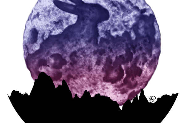 Luz nocturna