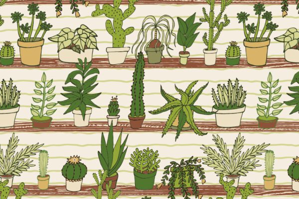 Jardinería y recreación