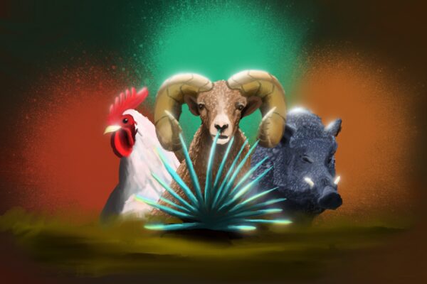 El mezcal y sus nombres de animales Otros nombres del mezcal: los animales y sus agaves