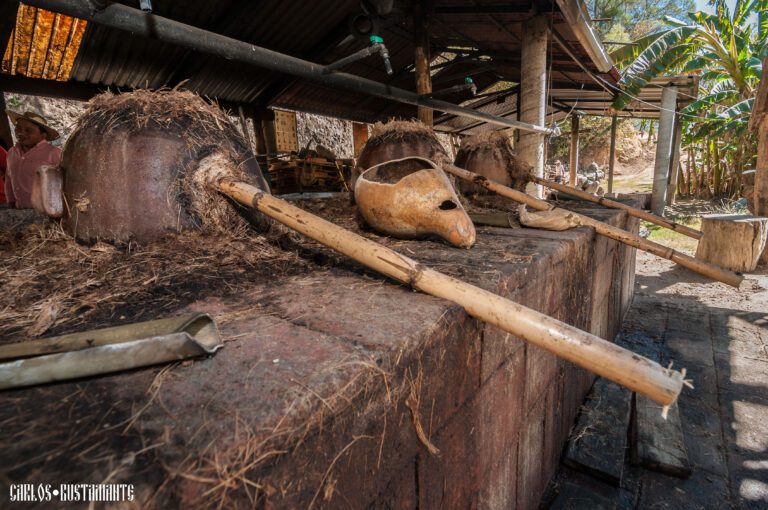 moliendas de mezcal