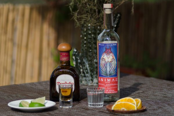 Tequila o Mezcal: las verdaderas diferencias en cinco rounds ¿Tequila o Mezcal?