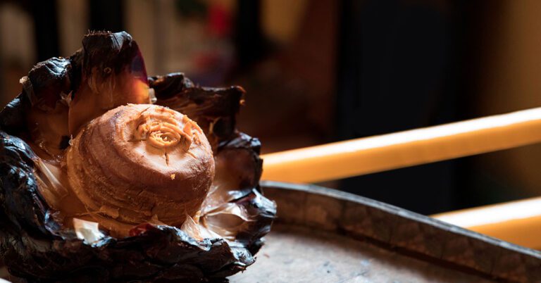 Nombres zapotecos de agaves