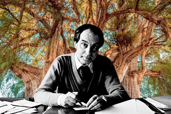 Italo Calvino en Oaxaca Italo Calvino en Oaxaca