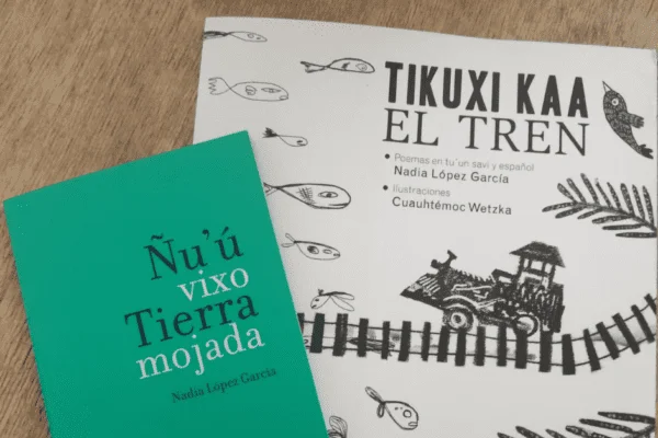 Entrevista con Nadia López García, poeta Ñúu savi (Parte II)
