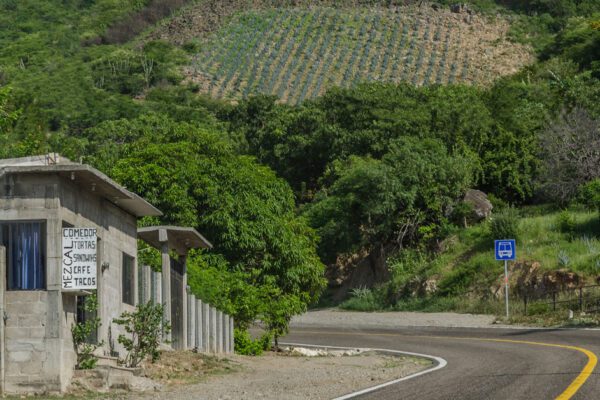 Ruta Caminos del Mezcal, Oaxaca