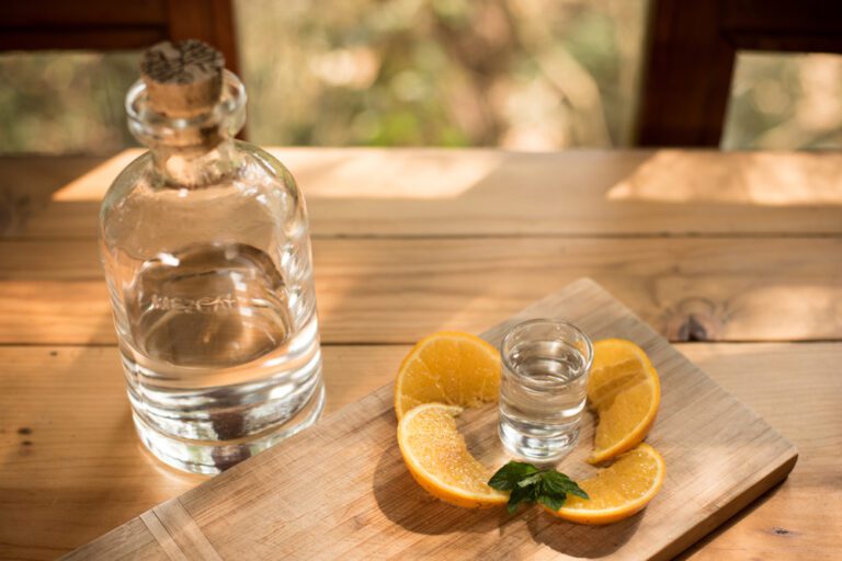 Mezcal en botella, marcas populares.