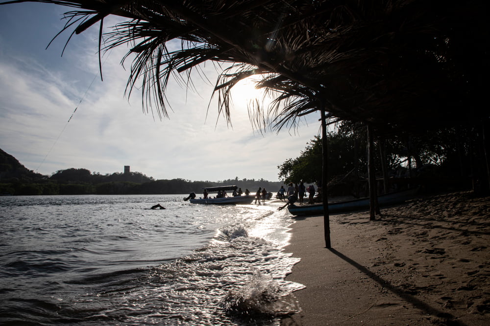 Parque Nacional Lagunas de Chacahua, actividades