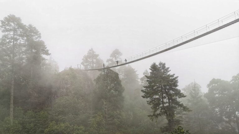 Opciones de ecoturismo en Oaxaca