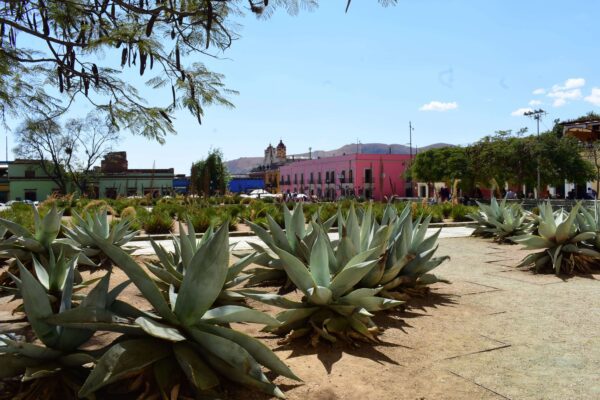 ¿Por qué Oaxaca es la mejor ciudad del mundo para visitar?