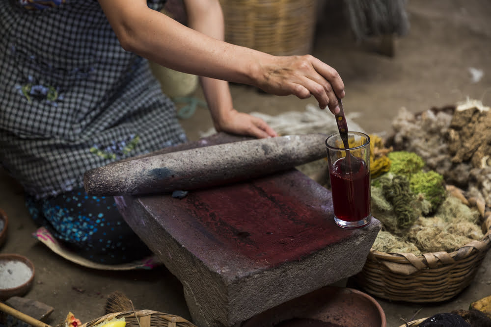 Grana cochinilla de Oaxaca, colorante natural.