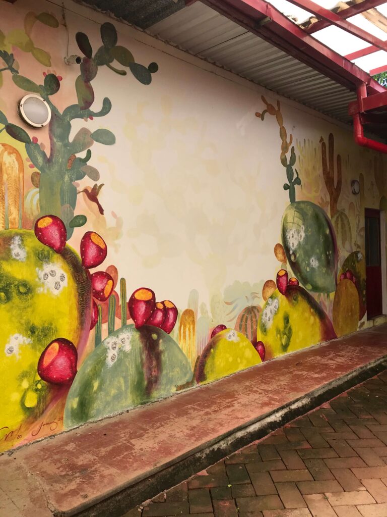 .Museo de la grana-Nocheztlicalli