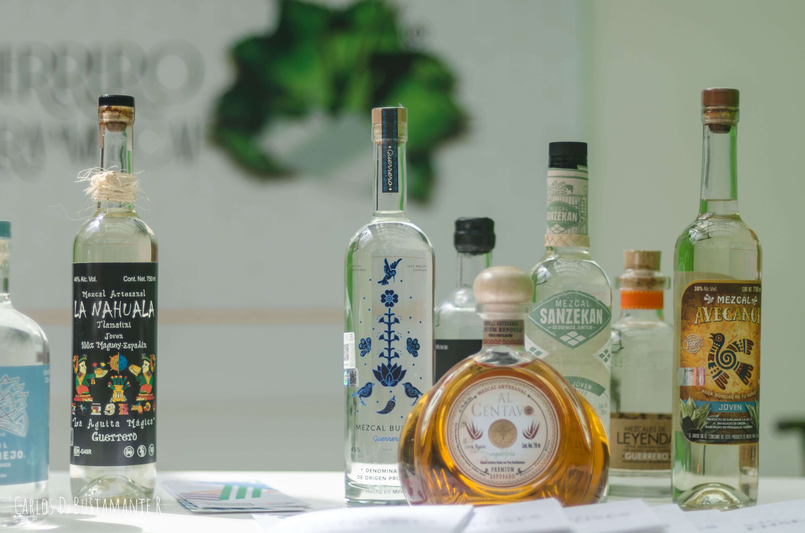 Festival del Mezcal, Queso y Vino 2023