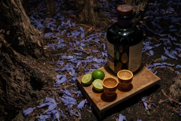 ¿Conoces el Mezcalverso Fest? Descúbre el festival en la CDMX .El Mezcalverso Fest existe y te estará esperando en Huerto Roma, CDMX