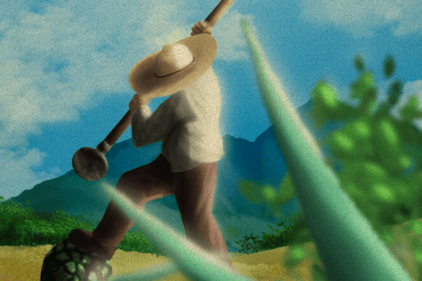 El día del maestro mezcalero llegó a México y así puedes celebrar .El día del maestro mezcalero llegó a México y será el 11 de abril