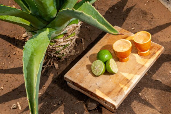 ¿Con ganas de mezcal? Conoce la nueva Ruta del vino y mezcal .con ganas de mezcal. Conoce la nueva ruta del vino y mezcal