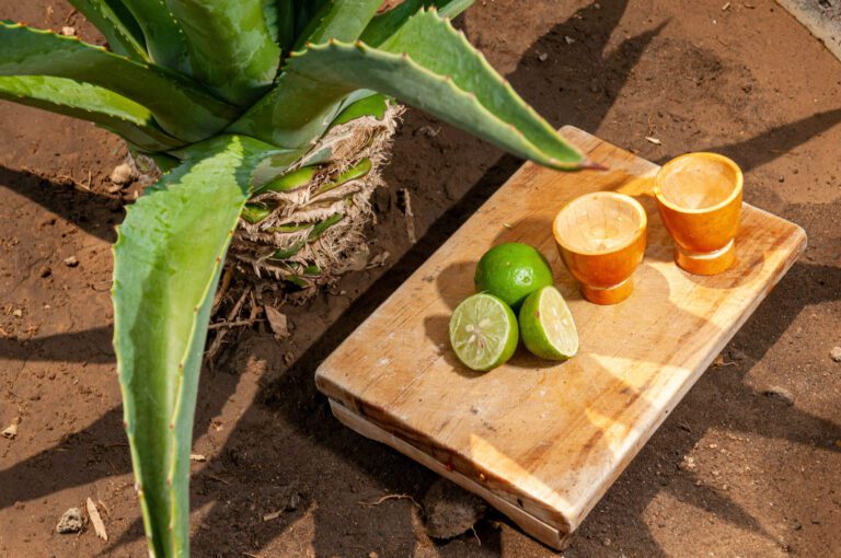 .con ganas de mezcal. Conoce la nueva ruta del vino y mezcal