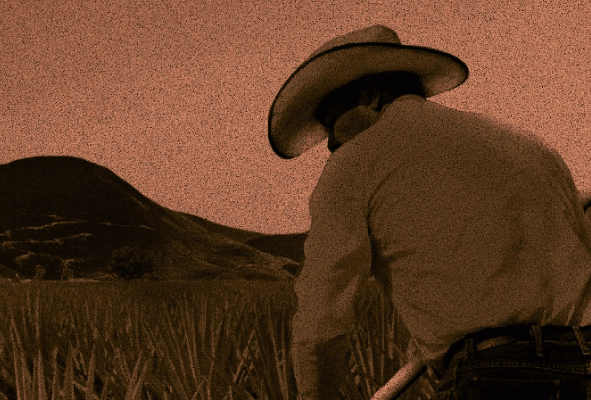 .Se celebra por primera vez el Encuentro de Maestros del Mezcal en Tijuana