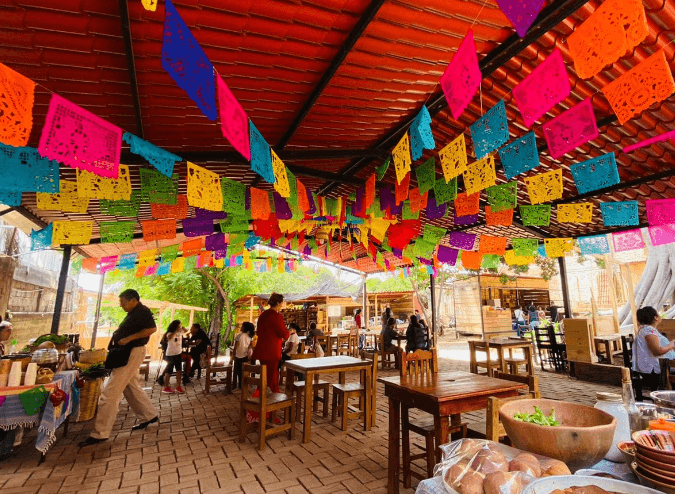 Visita el Mercado el Pochote, una alternativa de cultura y naturaleza