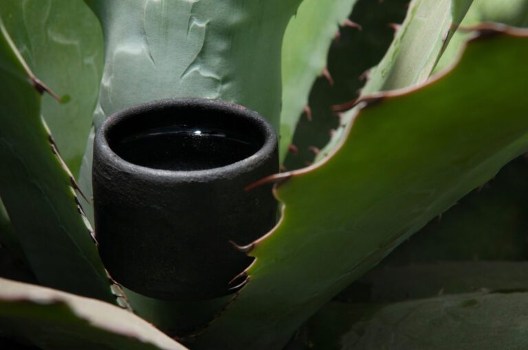 .¿Buscas escaparte el fin de semana? Asiste a la Feria del Mezcal y el Pulque en Atlixco