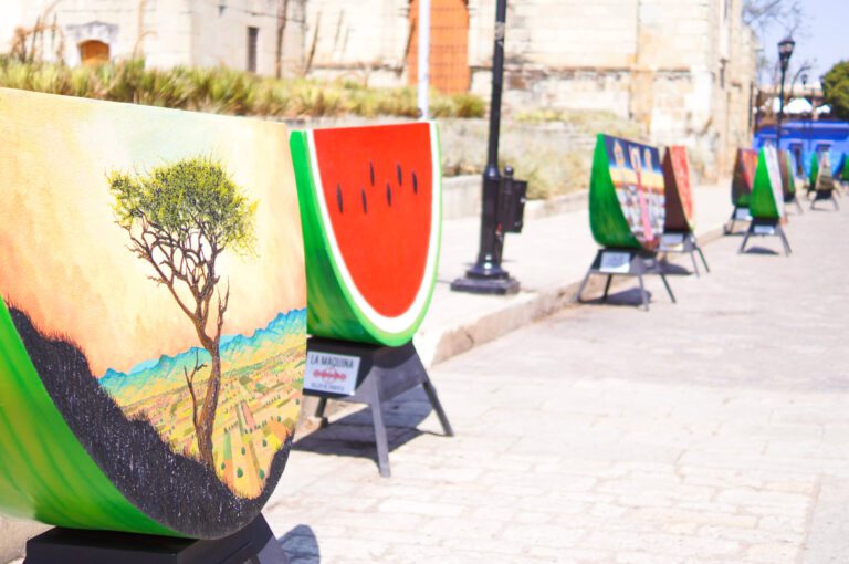 .¿Conoces las sandías oaxaqueñas de Tamayo? Llegaron a Guadalajara