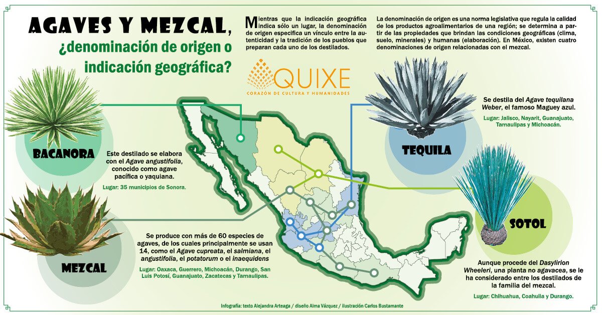 .Conoce qué es el bacanora y cómo se clasifica