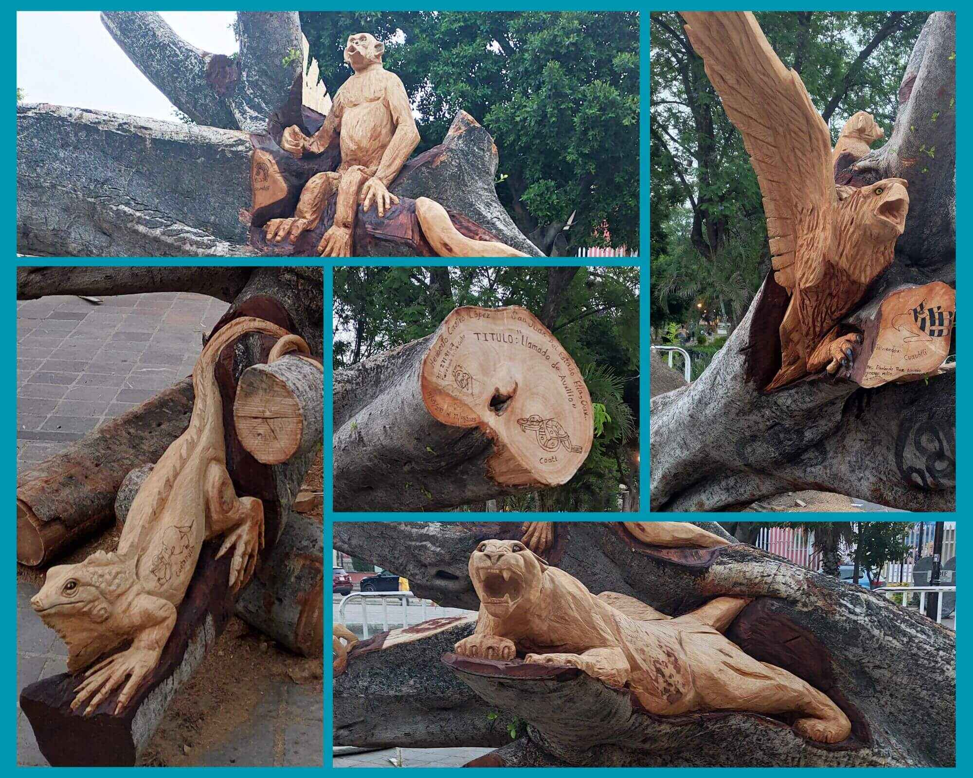 .El árbol caído del Llano, Oaxaca, que se hizo obra de arte