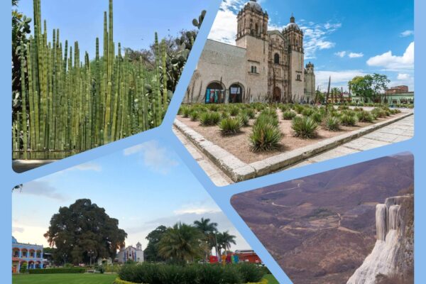 ¿Listo para la boda? 5 lugares para casarte en Oaxaca .¿Listo para la boda? 5 lugares para casarte en Oaxaca