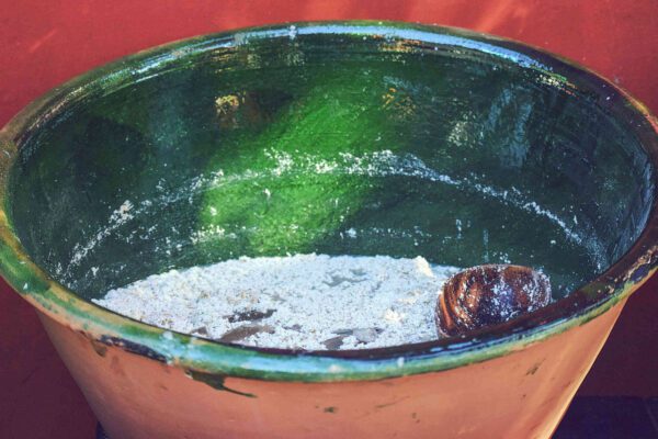Feria del Tejate y del Tamal 2023 ¡Deléitate con sabor y tradición! .Feria del Tejate y del Tamal 2023 ¡Deléitate con sabor y tradición!