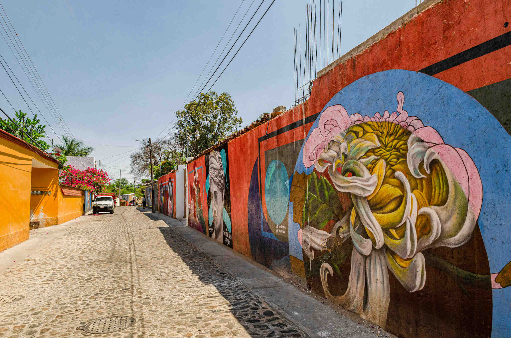 .Seis actividades imperdibles en el barrio de Xochimilco, Oaxaca