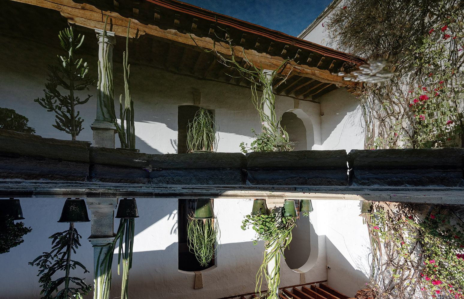 Conoce El Centro Fotográfico Manuel Álvarez Bravo En Oaxaca