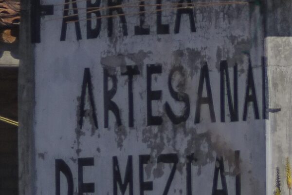 ¿Denominación de Origen del Mezcal en el Estado de México? No por ahora