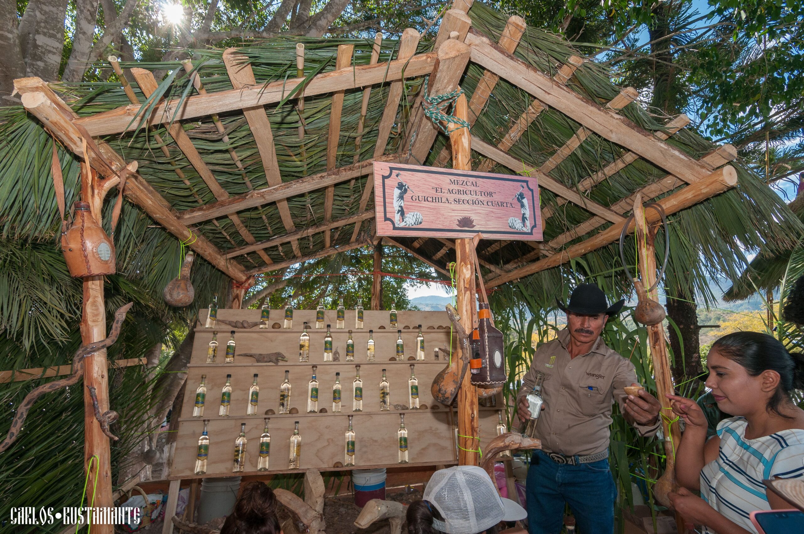 ¿Qué estados producen mezcal?