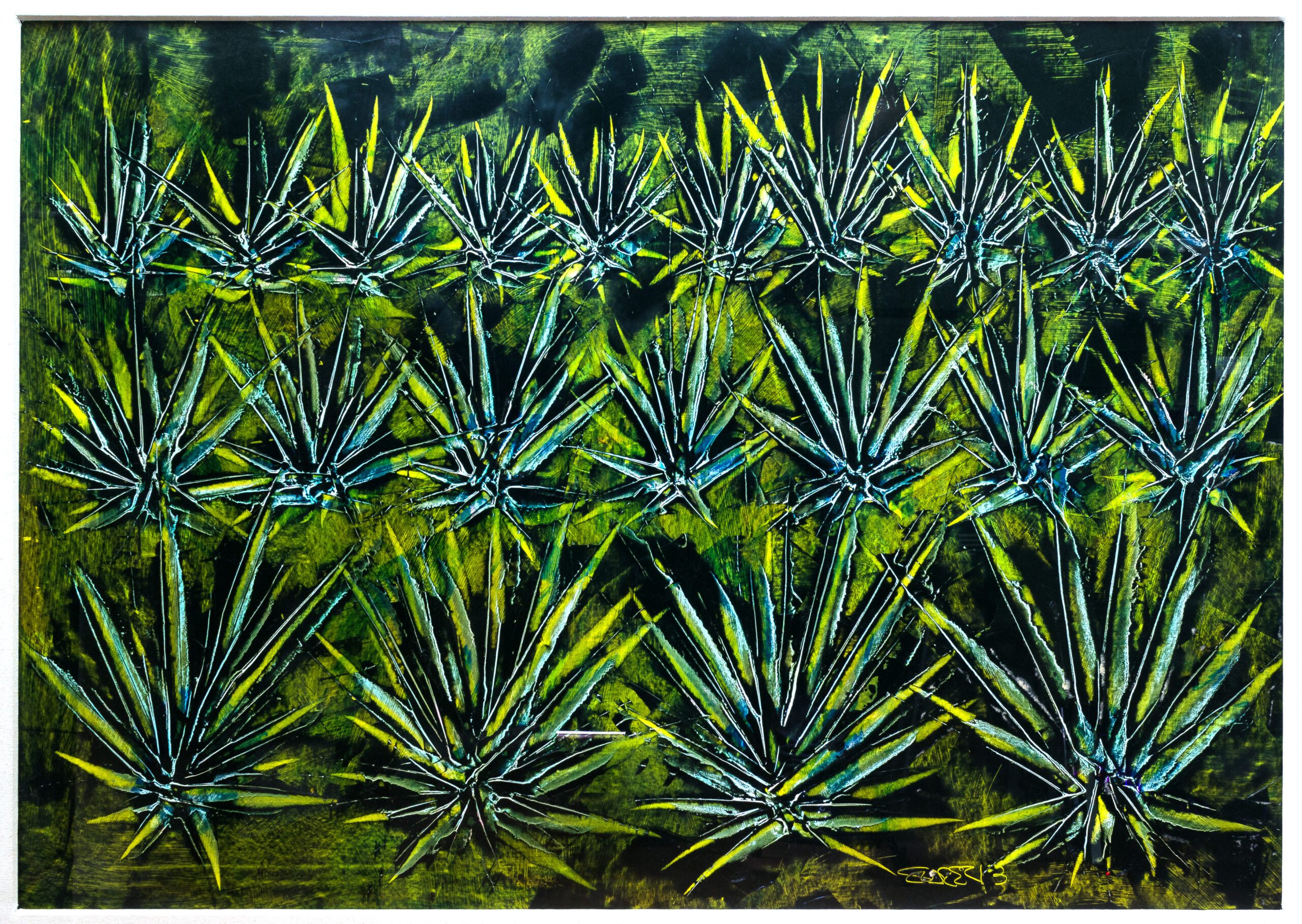 Diferencias entre el maguey y el agave