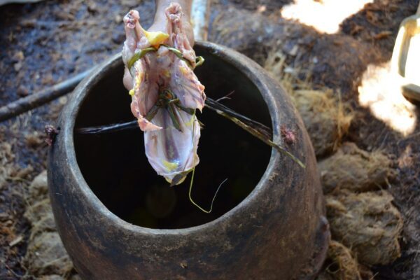 ¿Mezcal de pechuga? Así se elabora esta tradicional bebida ¿Qué es el Mezcal de pechuga?