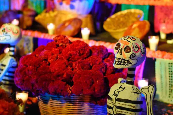 Comienza el Día de Muertos en Oaxaca