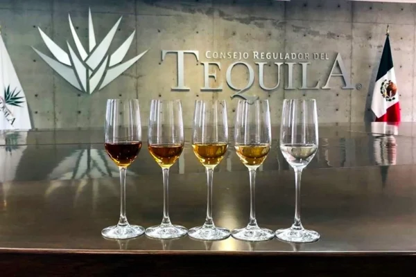 El Consejo Regulador del Tequila ofrece diplomados especializados en el mundo del agave El Consejo Regulador del Tequila ofrece diplomados al público.