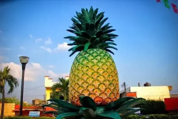 Semáforos con forma de piña adornan las calles de Tuxtepec En San Juan Bautista Tuxtepec han inaugurado semáforos con forma de piña.