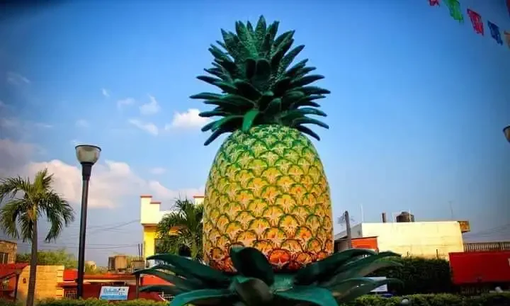 En San Juan Bautista Tuxtepec han inaugurado semáforos con forma de piña.