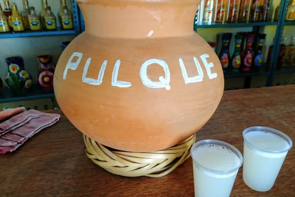 El pulque será Patrimonio de la CDMX.