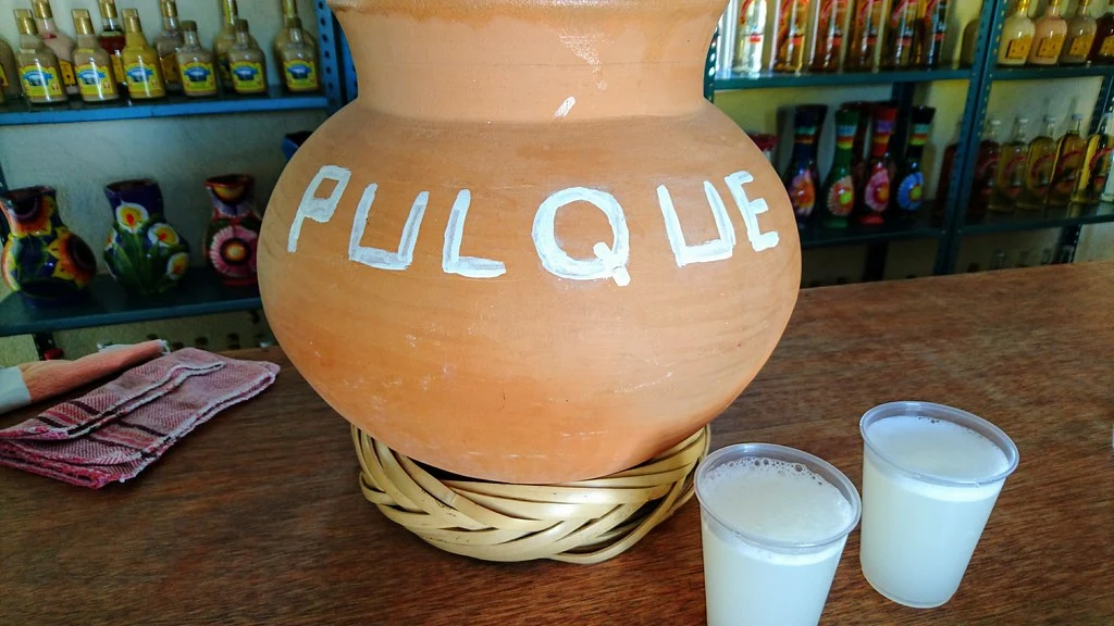 El pulque será Patrimonio de la CDMX.