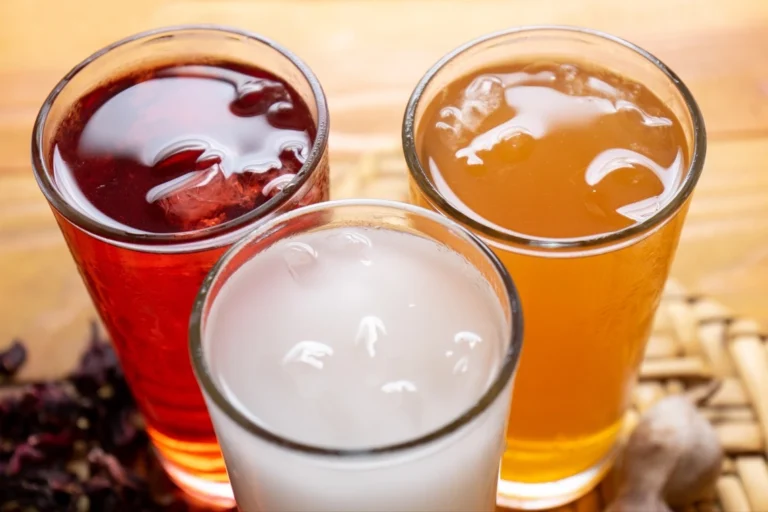 Bebidas refrescantes de Oaxaca