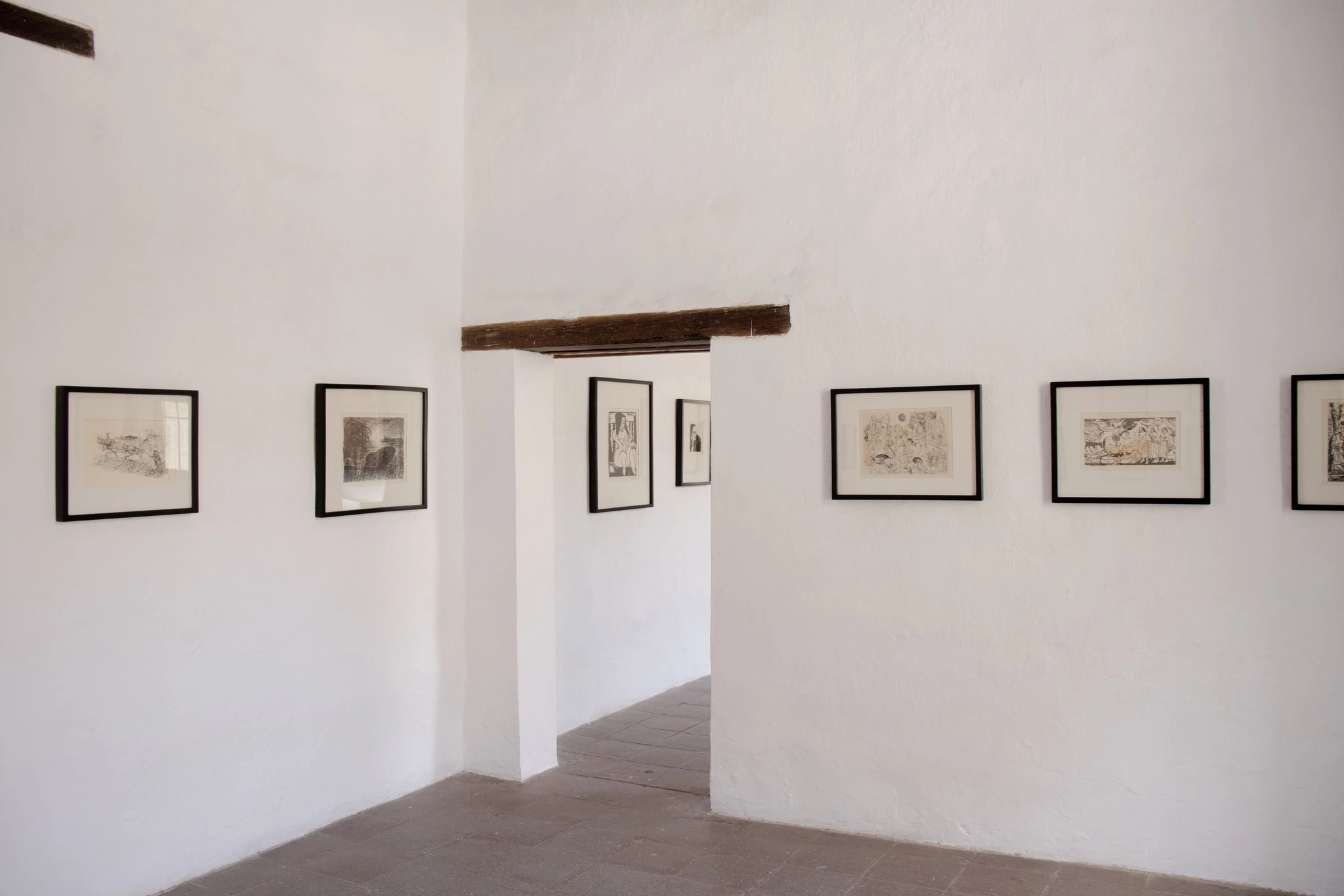 Nueva muestra gráfica en el IAGO