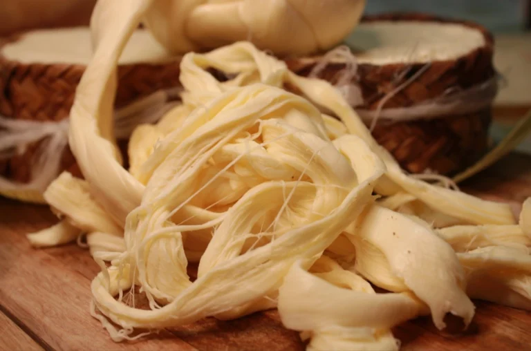 El queso Oaxaca se posiciona como uno de los mejores del mundo.