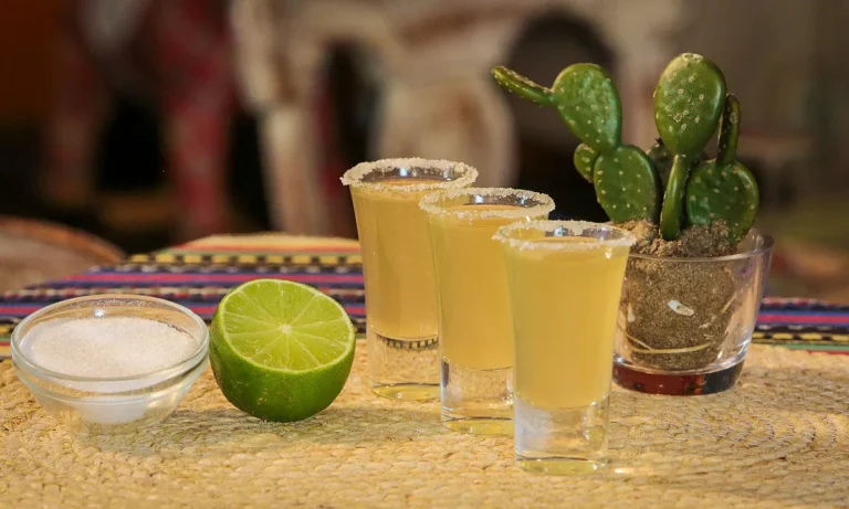 Celebrando los 50 años de la Denominación de Origen del Tequila.