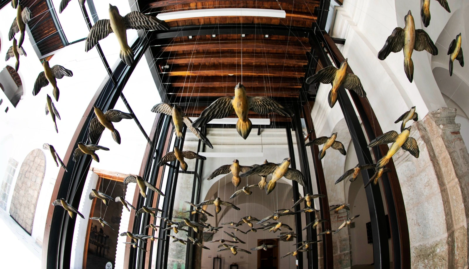 "Aviarium", la nueva exposición de aves en el Centro Cultural San Pablo en Oaxaca.